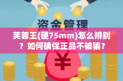 芙蓉王(硬75mm)怎么辨别？如何确保正品不被骗？